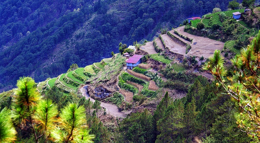 a determined explorer can take a fulfilling jaunt to Sagada—a serene mountain community in Mt. Province.