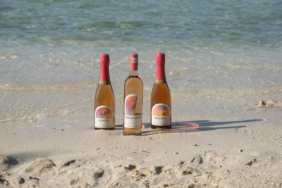 Sparkling Triumph: Indonesian Women Redefine Wine