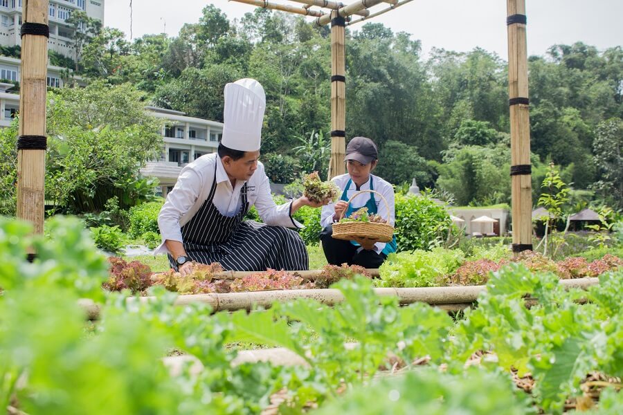 Exploring the Natural Herbs, Flowers, and Vegetables Garden at Homm Saranam Baturiti