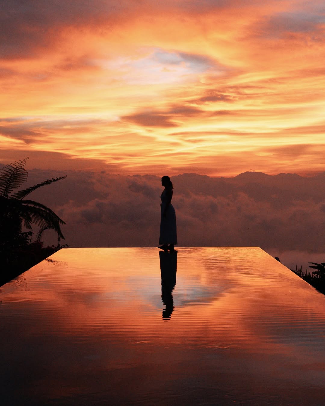 Sunset Nature Moments in the Highlands